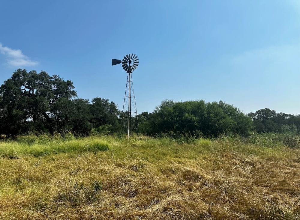 Photo of windmill at Walker Ranch Park.