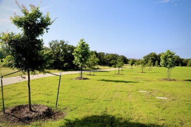 Public Hearing: Proposed Naming of New District 6 Destination Park to Luis Gomez Park
