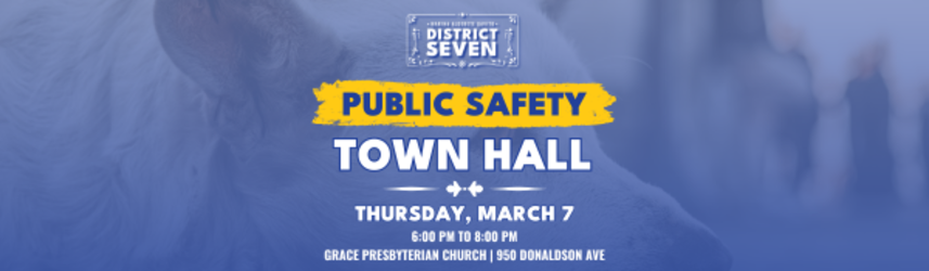 District 7 Town Hall Series: Public Safety