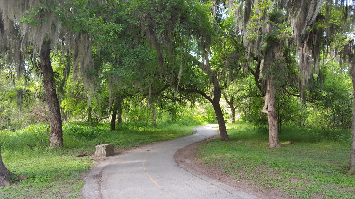 Featured image for Greenway Trails Survey